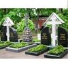 перезахоронение Деникина и Ильина