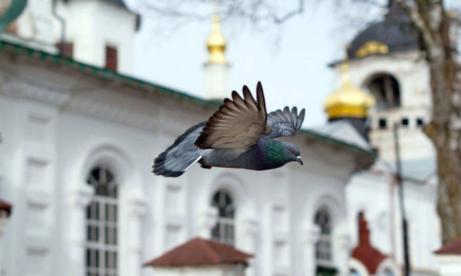 Благовещенье