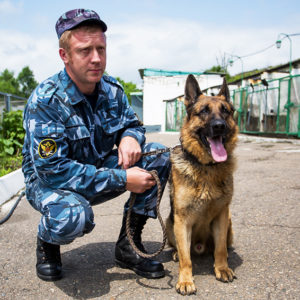 День кинологических подразделений МВД России