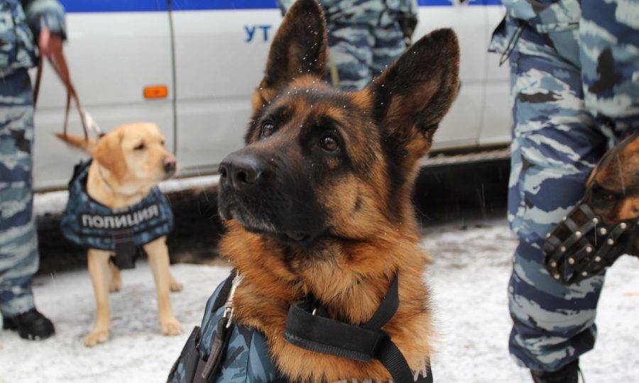 День патрульно-постовой службы полиции
