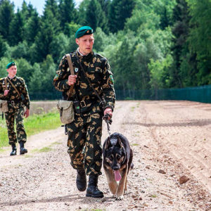 День пограничника