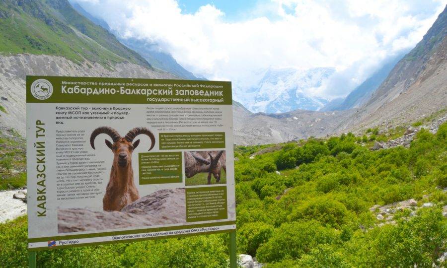 Кабардино- Балкарский заповедник