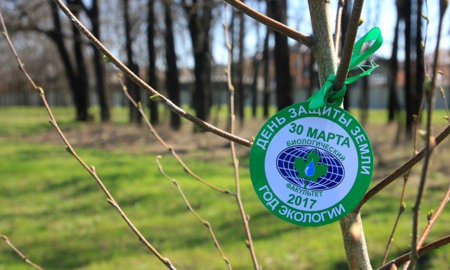 День защиты Земли, Краснодар