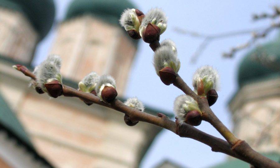 Вербное воскресенье