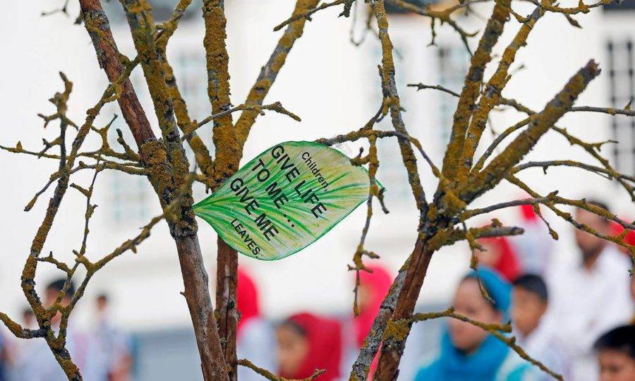 Всемирный день охраны окружающей среды. Школа в Нью-Дели