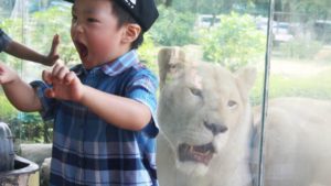 17 фото, по которым видно, как нелегко быть родителями