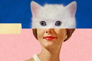 Тест: животное, которые вы увидели первым, расскажет, чего вам не хватает в жизни