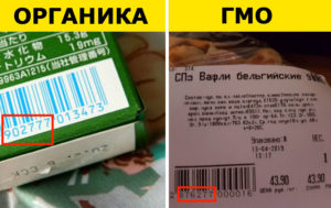 3 простых способа отличить ГМО от обычных продуктов