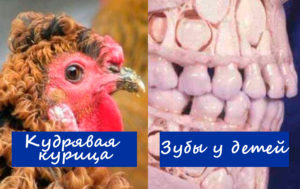 12 вещей, которые мало кто видел вживую, но все о них слышали