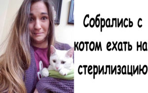 11 фото дурацких ситуаций, в которых никто бы не хотел оказаться