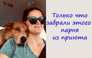 12 фотографий, которые расскажут о любви лучше самой душевной баллады
