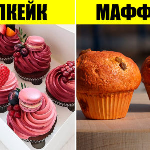 12 вещей, которые пора перестать путать (хотя они очень похожи)