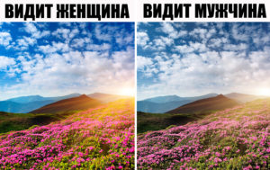 10 фактов об организме женщины, о которых зря не рассказали на уроках биологии