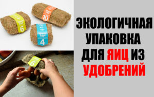 15 случаев, когда люди сделали что-то реально крутое для этой планеты (вместо пустой болтовни)