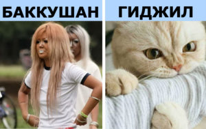 11 слов, которых не хватает в русском языке (ютэплс точно понравится всем)