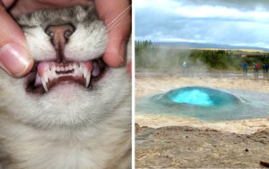 18 фото, которые могут оказаться маленьким открытием лично для вас