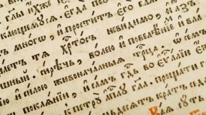 Тест: 10 простейших слов, значение которых вспомнят только 30% людей - вы в их числе?