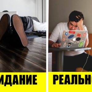Как работать из дома: 6 сложностей, о которых редко говорят