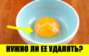 8 мифов о яйцах, в которые верит половина человечества: что из этого правда?