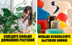 Как очистить воздух в квартире? ТОП-5 эффективных способов