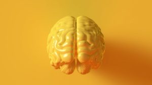 5 способов развить интеллект и перейти на новый уровень жизни