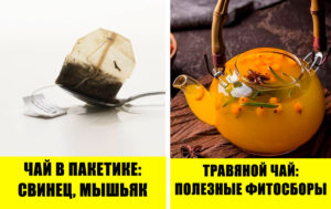 5 причин перестать пить чай, и чем его заменить