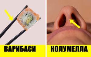 10 вещей, название которых так и вертится на языке - теперь будете знать точно
