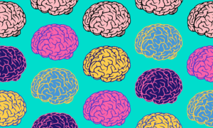 Тест на интеллект: только люди с IQ выше 100 знают ответы на эти вопросы. А вы?