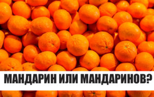 Тест: Вы - очень разносторонний человек, если хотя бы на 5 вопросов из 9 сможете ответить правильно