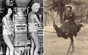 Не надо стесняться: 10 исторических фото, из-за которых краснеют потомки