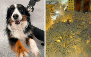 11 фотографий, которые дарят умиротворение и покой