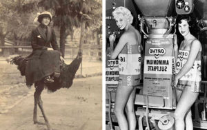 Стыдное прошлое: 10 старых фотографий, которые вызывают неоднозначные чувства