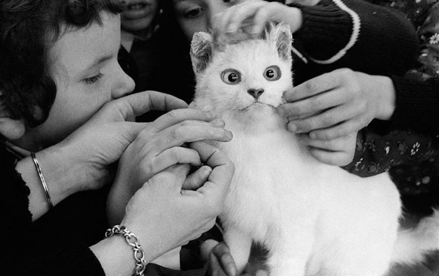 Фото: DR 10 уникальных фотографий из прошлого которые все еще удивляют