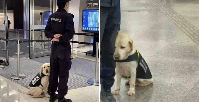Фото: DR 10 животных которые своим примером показывают что жизнь это борьба