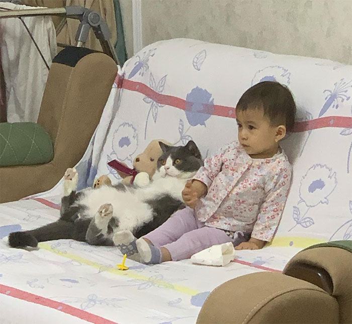Фото: DR 10 умилительных фото, доказывающих, что кошки тоже любят человеческих детенышей