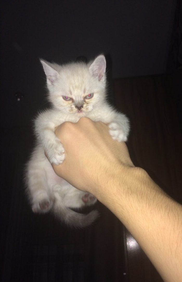 Фото: DR фото которые поднимают всем настроение