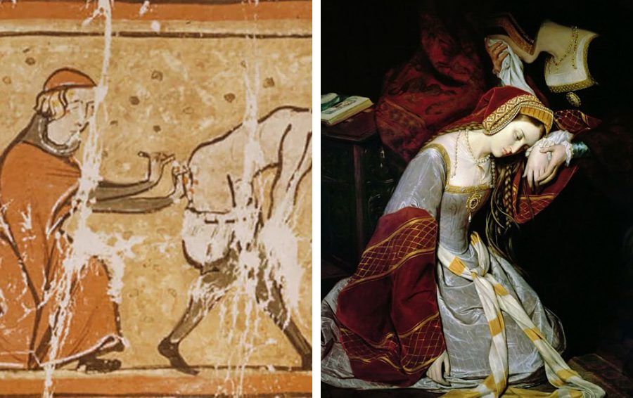 история