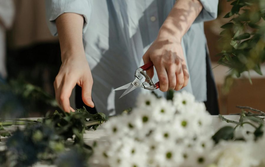 Фото: pexels одиночество