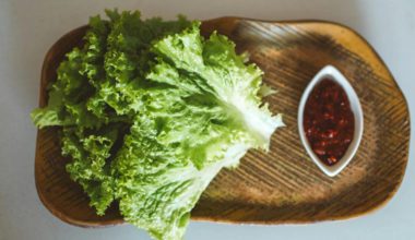 Салаты из листьев салата: 5 простых освежающих рецептов