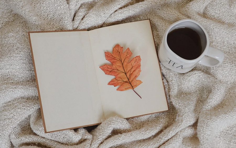 Фото: pixabay Почитайте книгу