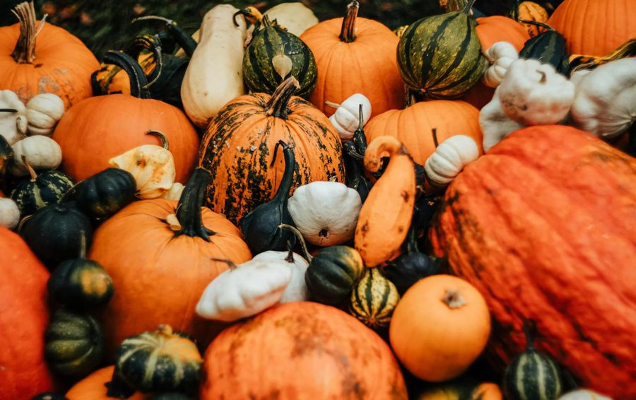 Фото: pexels тыква