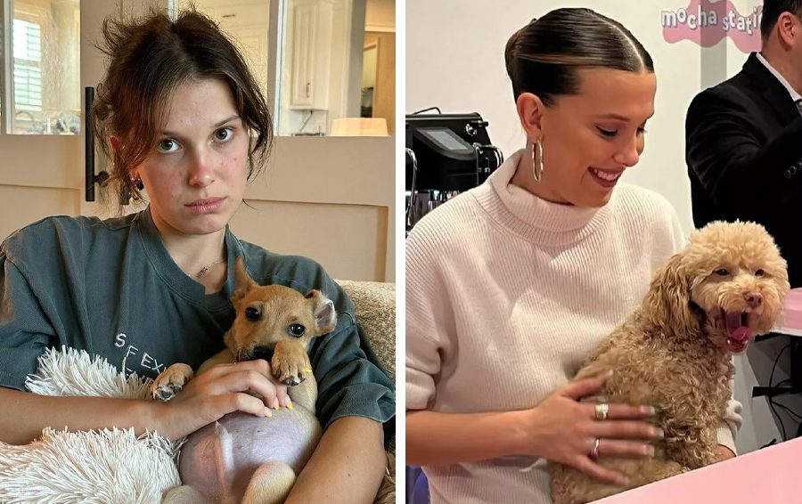 Фото: соцсети Милли Бобби Браун