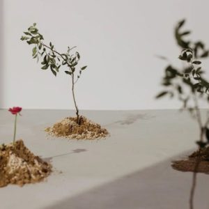 6 способов приучить себя копить деньги: процент, постоянство, психология