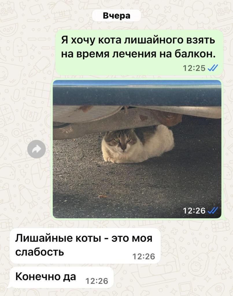 Покажите одним фото, что вы удачно вышли замуж