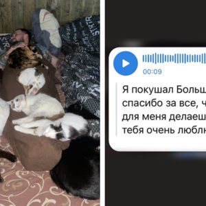 Удачное замужество выглядит так: фото, которые кричат о любви громче 1001 розы