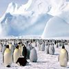 Антарктида ‑ День в истории (1)