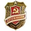 народная дружина