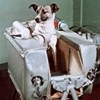 Лайка космонавт