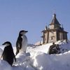 антарктическая станция Беллинсгаузен